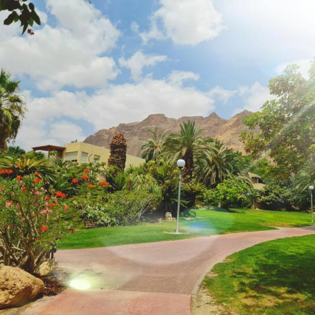 Ein Gedi Caravan By Dory Caravan Buitenkant foto
