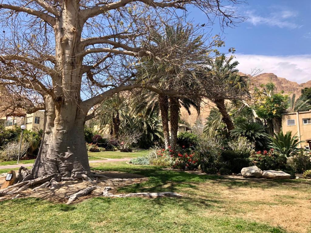 Ein Gedi Caravan By Dory Caravan Buitenkant foto